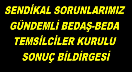 TEMSİLCİLER KURULU BİLDİRGESİ