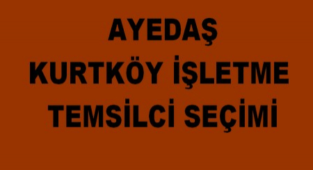 AYEDAŞ KURTKÖY TEMSİLCİ SEÇİMİ