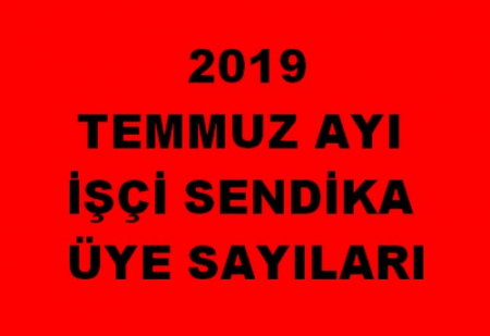 TEMMUZ AYI ÜYE SAYILARI