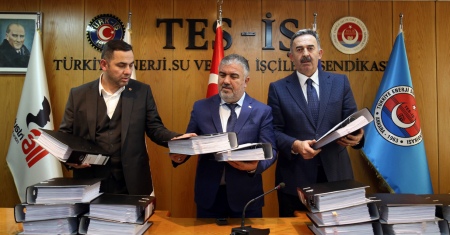EÜAŞ, TEİAŞ ve TEDAŞ'TA ÇALIŞAN 4 BİN 278 TAŞERON İŞÇİSİ KADRO TALEBİNDE BULUNDU
