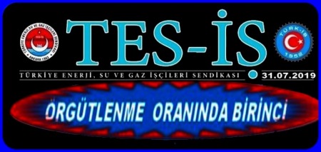 ÖRGÜTLENME ORANINDA BİRİNCİ