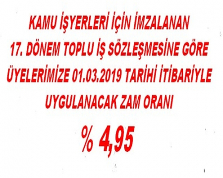 17.DÖNEM KAMU TİS ORANI