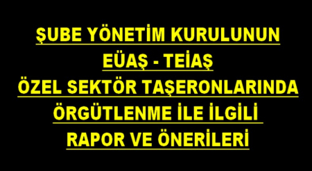 TAŞERON ÖRGÜTLENME RAPORU