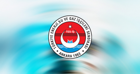  KİT ve BAĞLI ORTAKLIKLARDA ÇALIŞAN TAŞERON İŞÇİLERE KADRO
