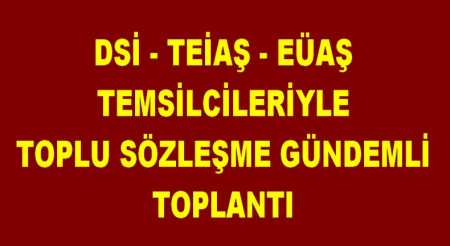 DS1-TEİAŞ-EÜAŞ TEMSİLCİLERİ İLE TOPLANTI