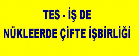 TES - İŞ DE NÜKLEERDE ÇİFTE İŞBİRLİĞİ