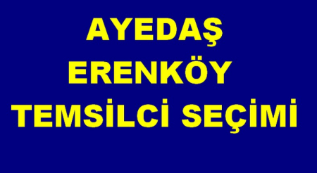AYEDAŞ ERENKÖY TEMSİLCİ SEÇİMİ