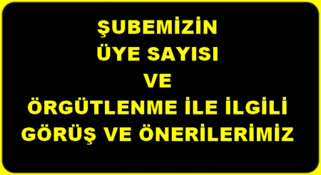ÖRGÜTLENME İLE İLGİLİ GÖRÜŞ VE ÖNERİLER