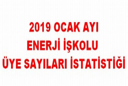 2019 OCAK AYI İSTATİSTİĞİ