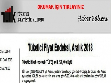 ARALIK 2018 ENFLASYON ORANI