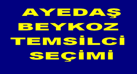 AYEDAŞ BEYKOZ TEMSİLCİ SEÇİMİ