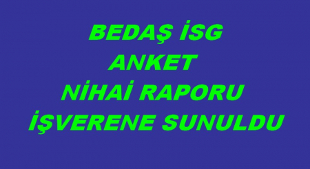  BEDAŞ İSG ANKET NİHAİ RAPORU İŞVERENE SUNULDU