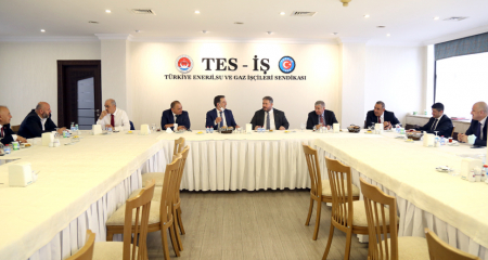 TEİAŞ, EÜAŞ, TEDAŞ İşyerleri 2021-2023 TİS Görüşmeleri Başladı