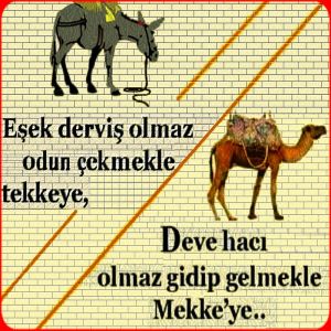EŞŞEK DERVİŞ OLMAZ