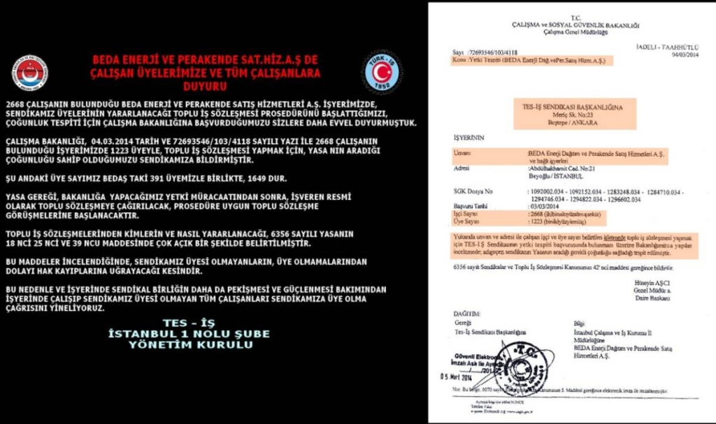 ÇOĞUNLUK TESPİT