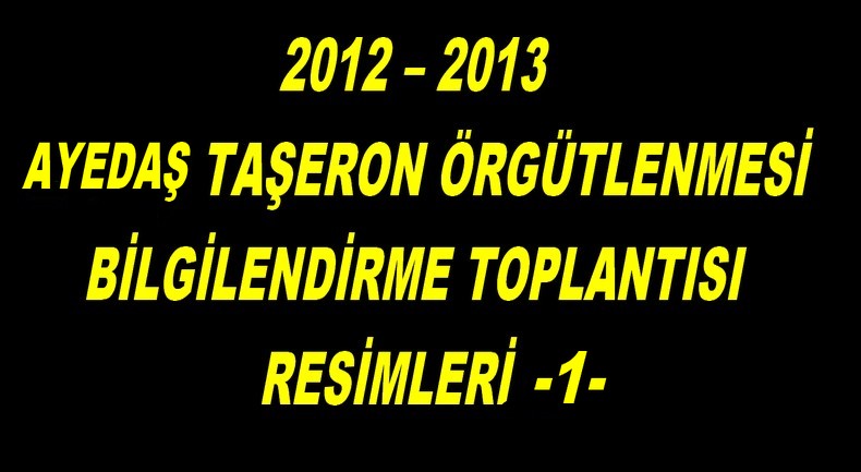 AYEDAŞ ÖRGÜTLENME -1-