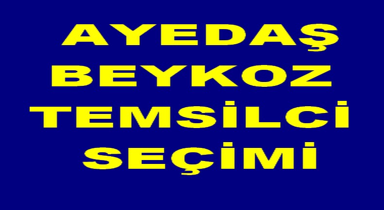 AYEDAŞ BEYKOZ