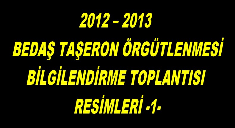 2012-2013 BEDAŞ TAŞERON ÖRGÜTLENMESİ