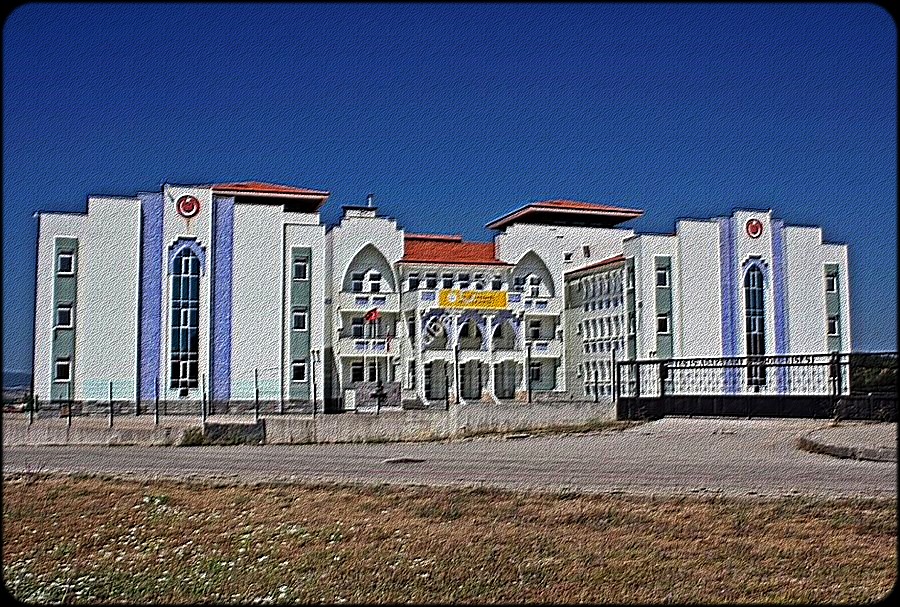 TES İŞ ANADOLU LİSESİ