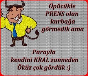 KURBAĞA PRENS