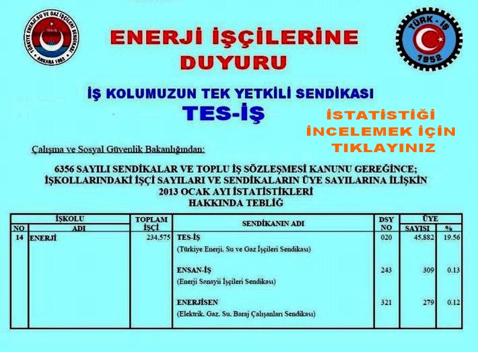 2013 OCAK İSTATİSTİĞİ