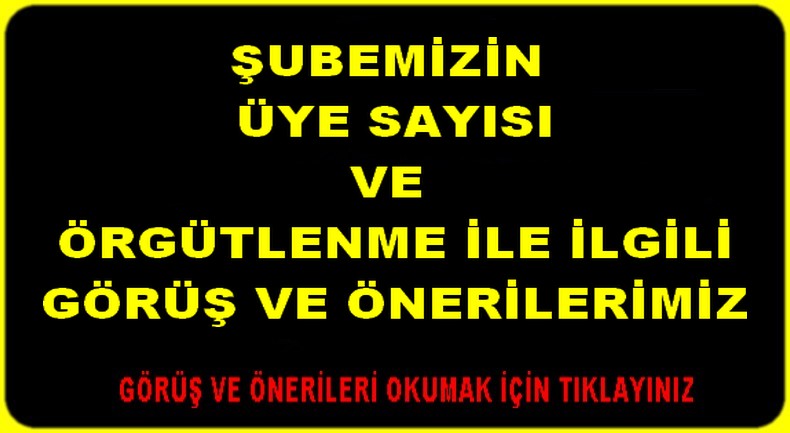 ÖRGÜTLENME İLE İLGİLİ GÖRÜŞ VE ÖNERİLER