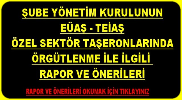 TAŞERON ÖRGÜTLENMESİ RAPORU