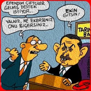 EKİN GİTSİN