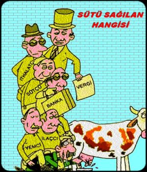 SÜTÜ SAĞILAN HANGİSİ