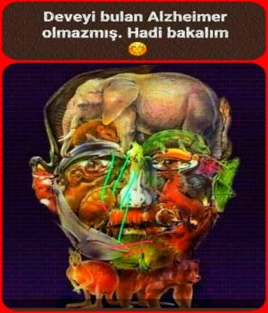 DEVEYE BULAH ALZHEİMER OLMAZMIŞ