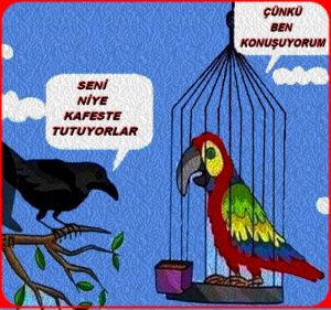 SENİ NİYE KAFESTE TUTUYORLAR