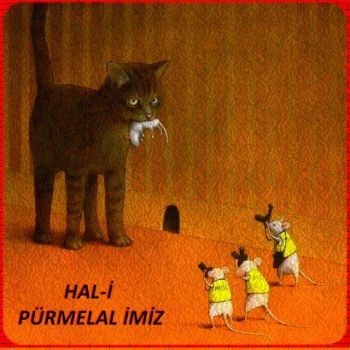 HALİ PÜR MELALİMİZ