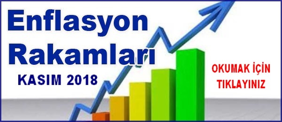 KASIM 2018 ENFLASYON RAKAMLARI