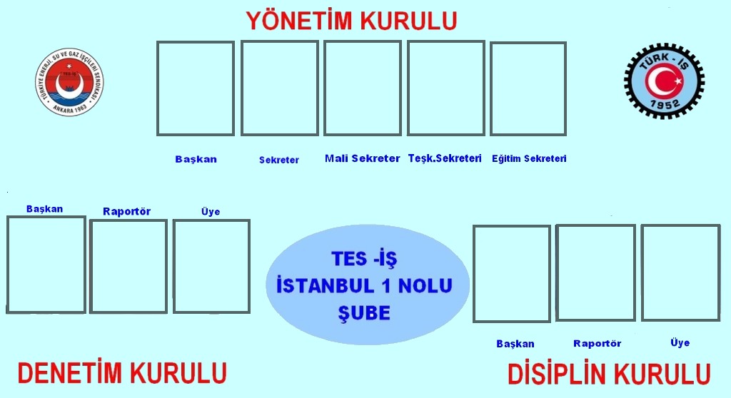 YÖNETİM-DENETİM-DİSİPLİN KURULU