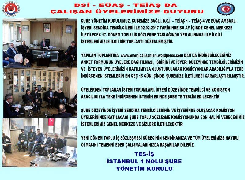 DSİ TEİAŞ EÜAŞ